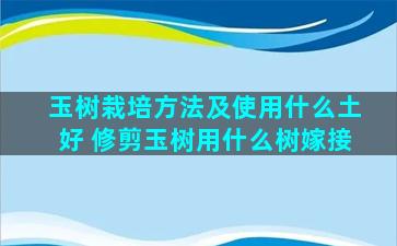 玉树栽培方法及使用什么土好 修剪玉树用什么树嫁接